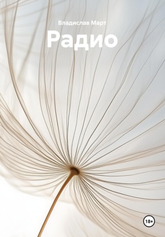 Владислав Март. Радио