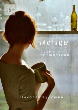Николай Александрович Худошин. Частицы. Заметки наблюдателя