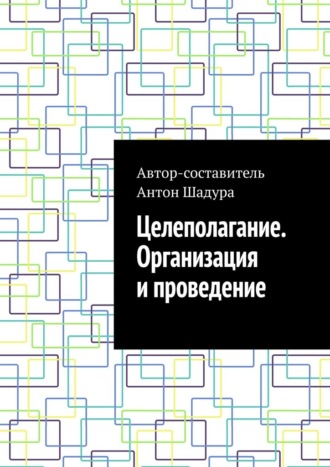 Антон Анатольевич Шадура. Целеполагание. Организация и проведение
