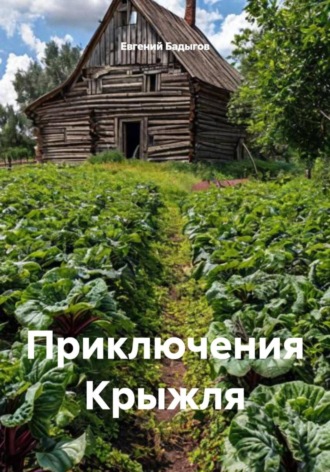Евгений Бадыгов. Приключения Крыжля