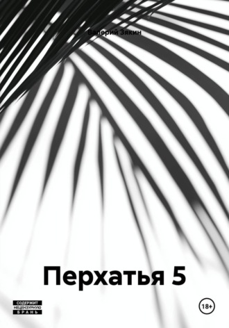 Валерий Дмитриевич Зякин. Перхатья 5