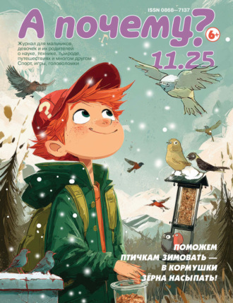 . А почему? №11/2025