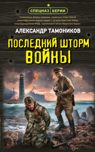 Александр Тамоников. Последний шторм войны