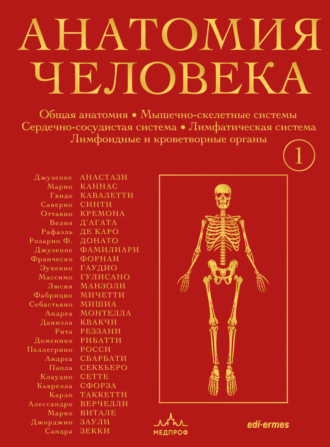 Анатомия человека. Эксклюзивное издание с 50-летней историей. Том 1. 