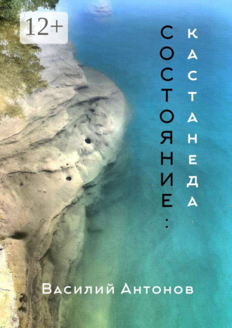 Василий Антонович Антонов. Состояние: Кастанеда