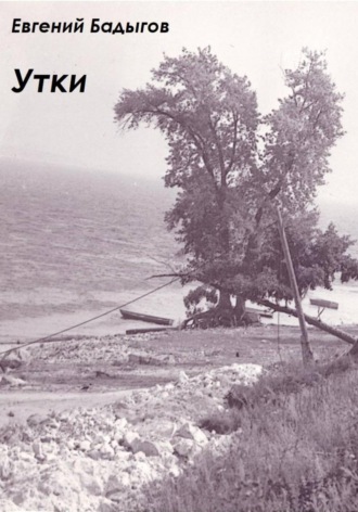 Евгений Бадыгов. Утки