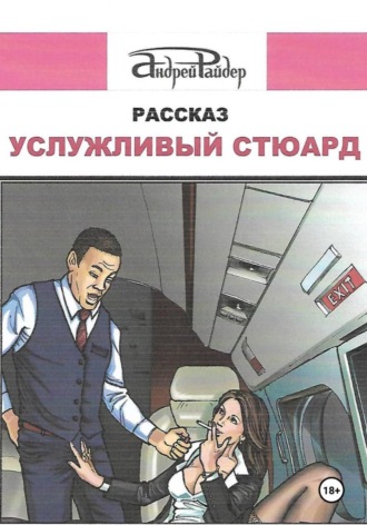 Андрей Райдер. Услужливый стюард