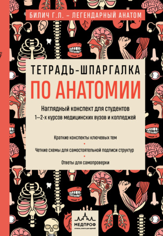 Габриэль Билич. Тетрадь-шпаргалка по анатомии