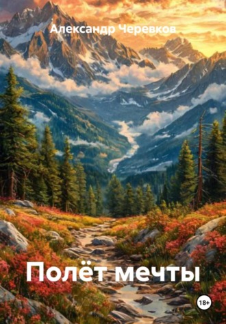Полёт мечты. 