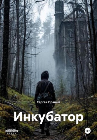 Сергей Правый. Инкубатор