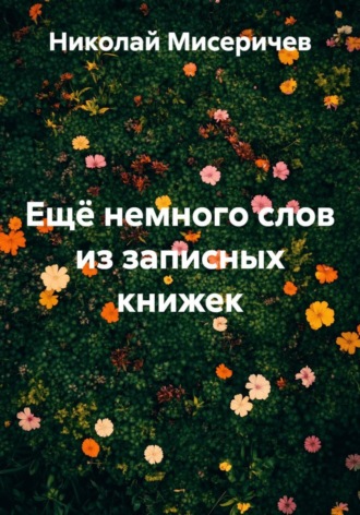 Николай Алексеевич Мисеричев. Ещё немного слов из записных книжек