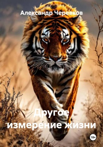 Александр Черевков. Другое измерение жизни