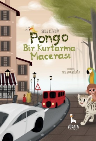 Seda Gündüz. PONGO