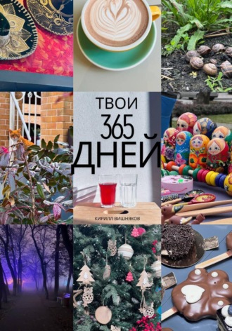 Кирилл Вишняков. Твои 365 Дней