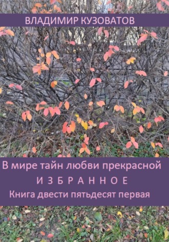 Владимир Кузоватов. В мире тайн любви прекрасной. Избранное. Книга двести пятьдесят первая