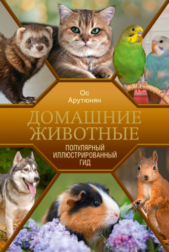Ос Арутюнян. Домашние животные. Популярный иллюстрированный гид