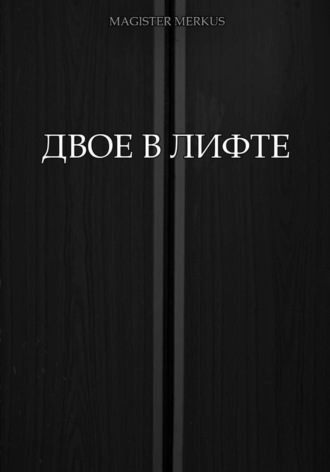 Magister Merkus. Двое в лифте