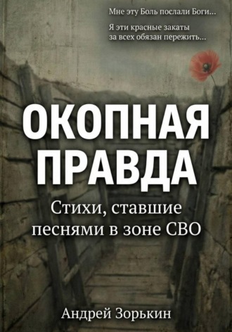 Андрей Зорькин. Окопная правда