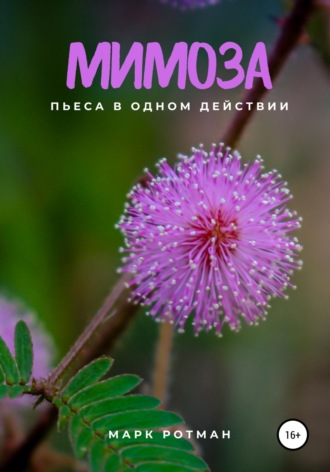 Мимоза. Марк Ротман