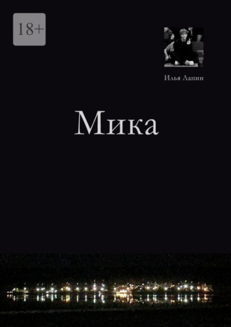 Илья Александрович Лапин. Мика