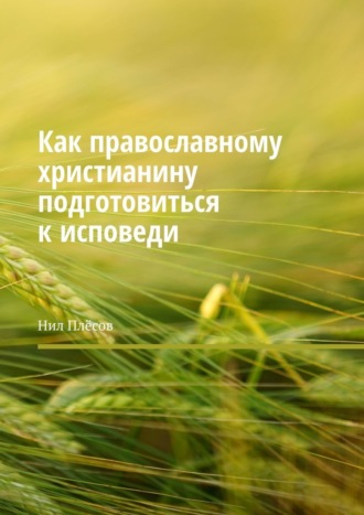 Нил Плёсов. Как православному христианину подготовиться к исповеди