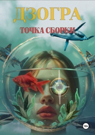 Дзогра. Точка сборки