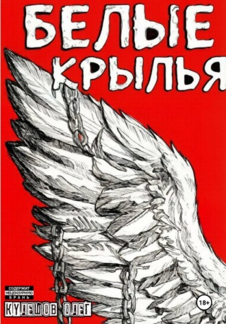 Белые Крылья. Олег Кулешов