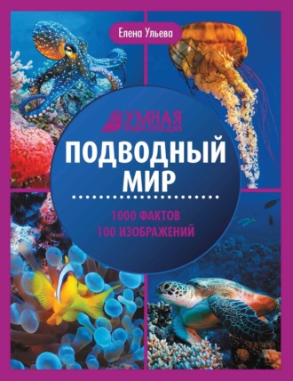 Елена Ульева. Подводный мир. Энциклопедия
