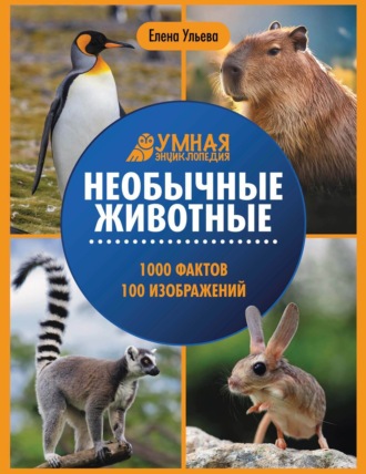Елена Ульева. Необычные животные