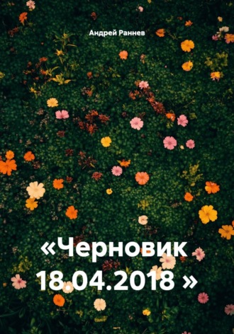 Андрей Викторович Раннев. «Черновик 18.04.2018 »