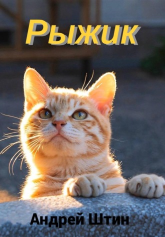 Андрей Штин. Рыжик