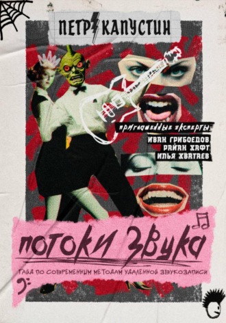 Петр Витальевич Капустин. Потоки звука. Гайд по современным методам удаленной звукозаписи