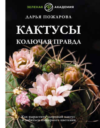 Дарья Пожарова. Кактусы. Колючая правда