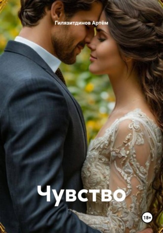Гилязитдинов Сергеевич Артём. Чувство