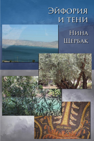 Нина Щербак. Эйфория и тени