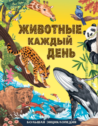 Миранда Смит. Животные каждый день. Большая энциклопедия