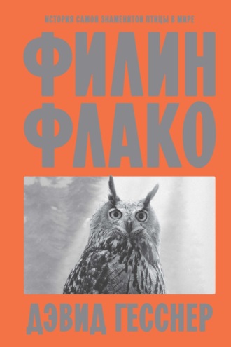 Дэвид Гесснер. Филин Флако. История самой знаменитой птицы в мире