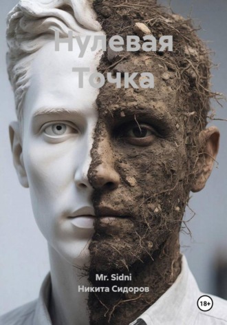 Никита Сидоров. Нулевая Точка