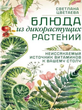 Светлана Цветаева. Блюда из дикорастущих растений. Неиссякаемый источник витаминов к вашему столу
