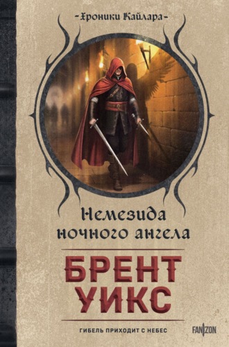 Брент Уикс. Немезида ночного ангела