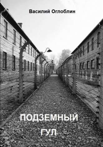 Василий Дмитриевич Оглоблин. Подземный гул. Роман в новеллах