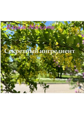Елена Мачете. Секретный ингредиент