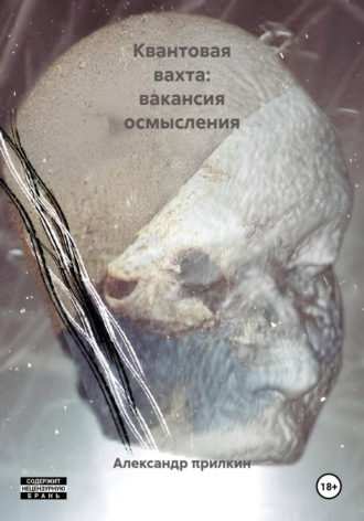 Квантовая вахта: вакансия осмысления. Александр πрилкин