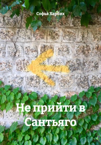 Софья Харбих. Не прийти в Сантьяго