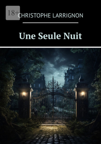 Christophe Larrignon. Une Seule Nuit