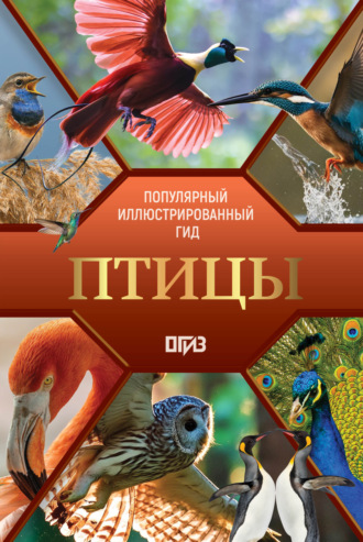 А. А. Спектор. Птицы. Иллюстрированный гид