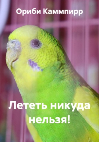 Ориби Каммпирр. Лететь никуда нельзя!
