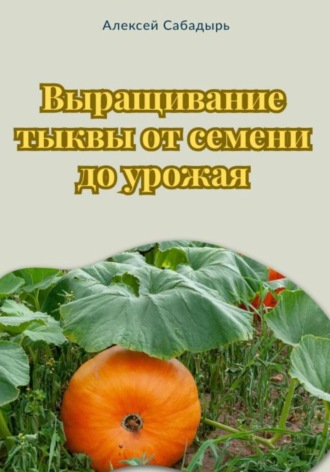 Алексей Сабадырь. Выращивание тыквы от семени до урожая