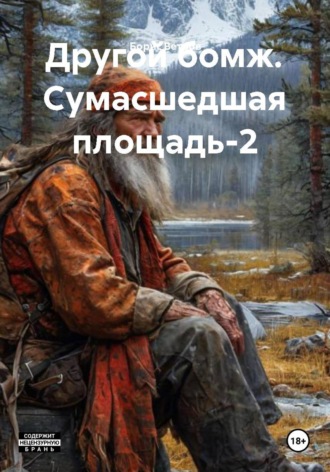 Борис Ветров. Другой бомж. Сумасшедшая площадь-2