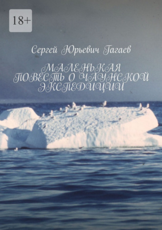 Сергей Юрьевич Гагаев. Маленькая повесть о Чаунской экспедиции